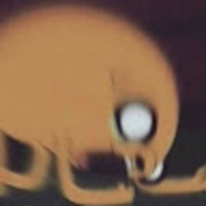 Meet your Posher, Hailey